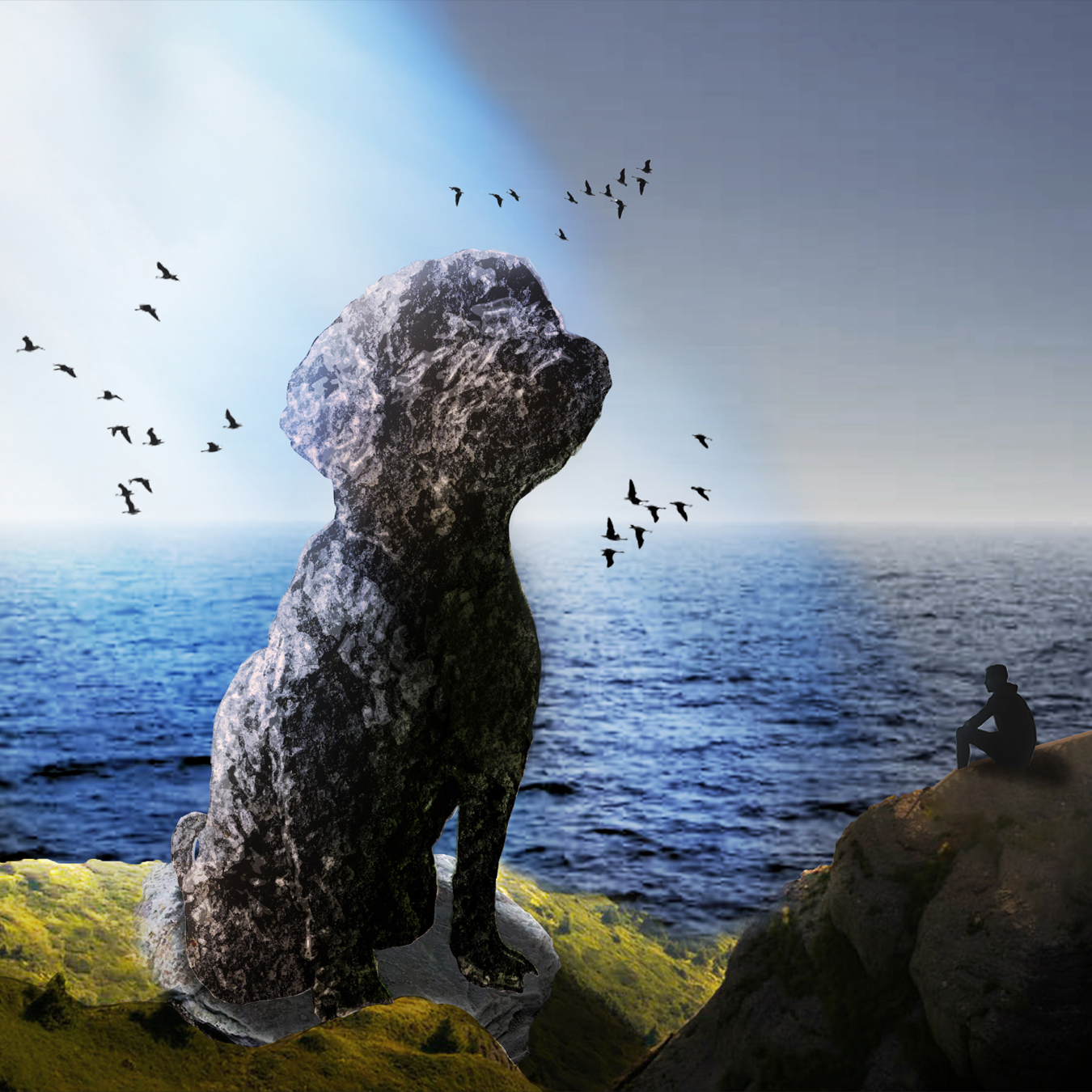 Photo Of Ash Photography